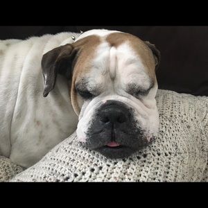 Meet your Posher, Carol